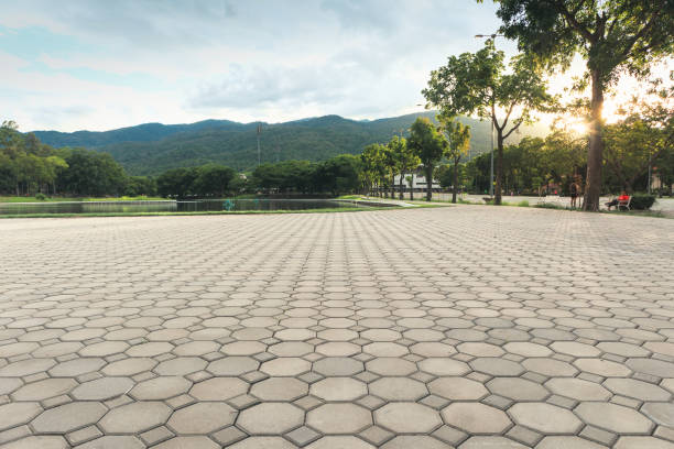 Best Local Driveway Pavers  in Truckee, CA